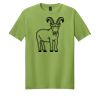 Softstyle ® T Shirt Thumbnail